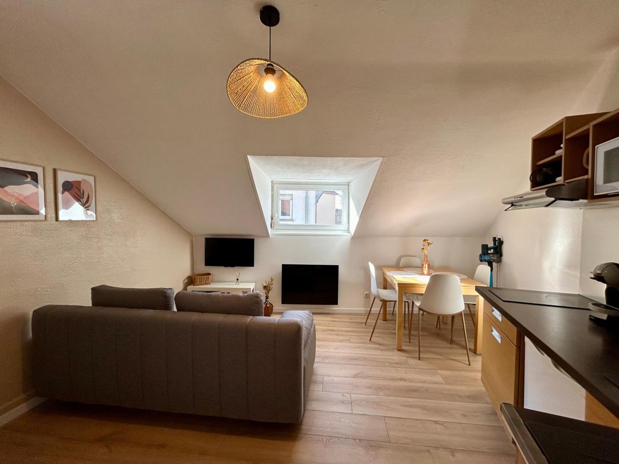 Douce Agathe - Duo-Groupe, Chaleureux, Tram 200M, Centre 10Min Apartment Страсбург Екстериор снимка