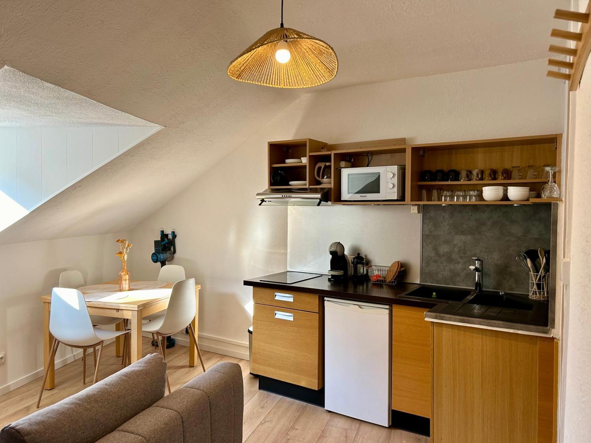 Douce Agathe - Duo-Groupe, Chaleureux, Tram 200M, Centre 10Min Apartment Страсбург Екстериор снимка